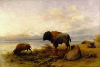 Frederick Arthur Verner