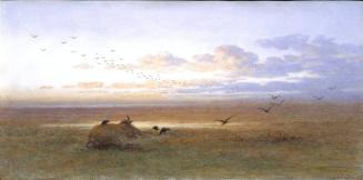 The Last Buffalo