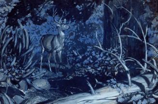 Night Watcher