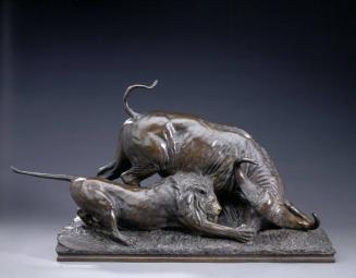 Lion and Cape Buffalo
