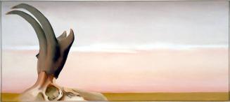 Antelope