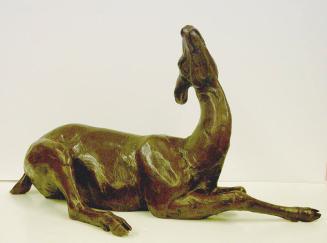 Biche au Repos