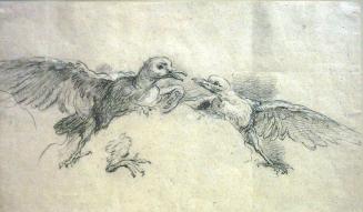 Study of Two Birds