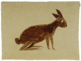 Brown Rabbit