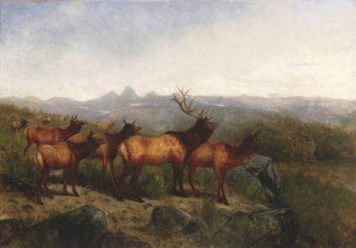 Newbold Hough Trotter