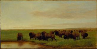 The Prairie-Herd