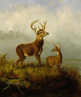 A September Morning