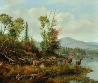 Good Hunting Ground