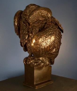 Vulture Preening its Wings (aka L'Avvoltoio)