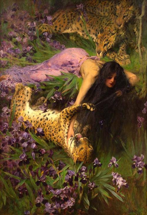 The Enchantress