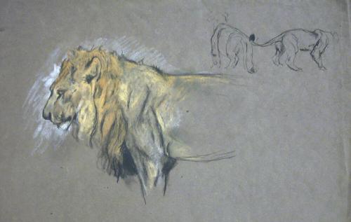 Lion and Lioness
