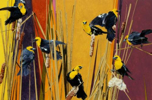 Cattail Clowns