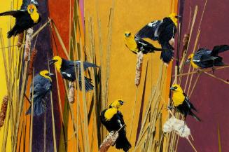 Cattail Clowns