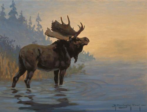 Canadian Moose