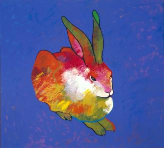 Rabbit (After Durer)