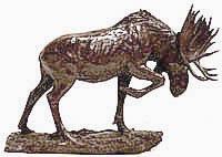 Moose