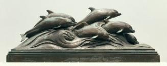 Dolphins of the Sea