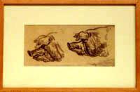Study of Boars Heads
