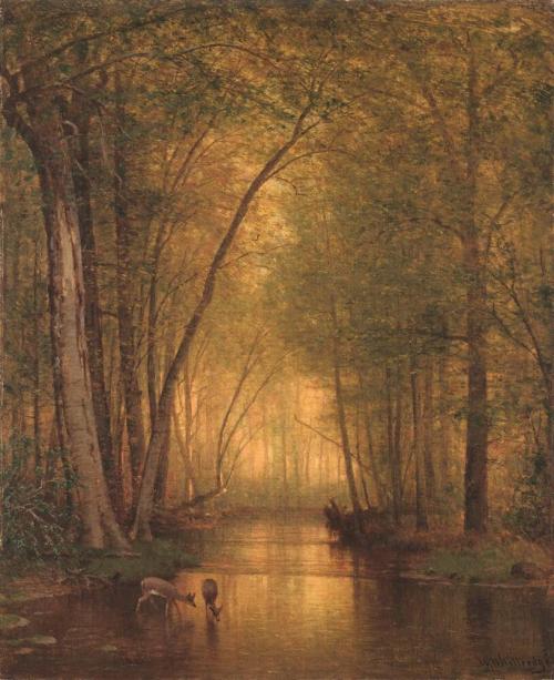 Deer Watering