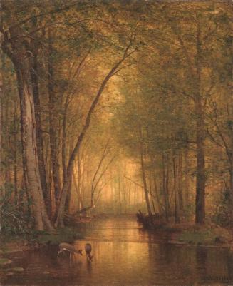 Deer Watering