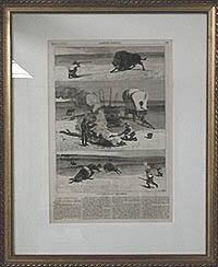 A Days Still Hunting After Buffalo