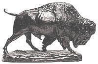 Bison