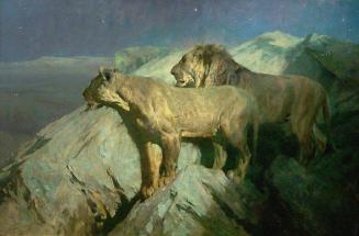 Silent Watchers