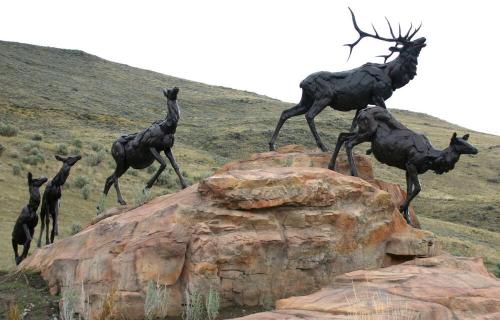 Wapiti Trail