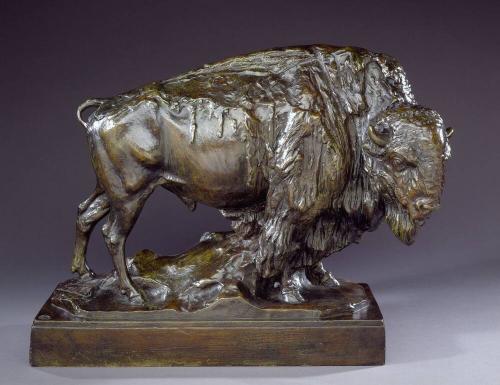Buffalo (aka Amerikaanse Bizon)