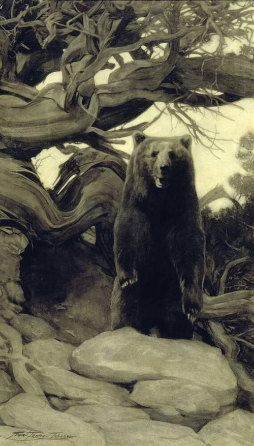 Grizzly Bear