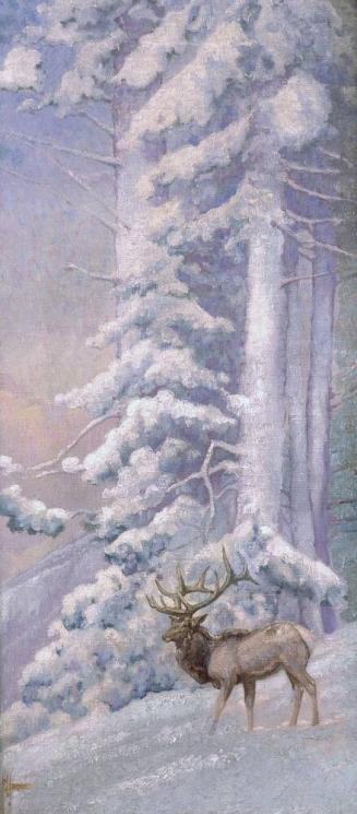 Winter Elk