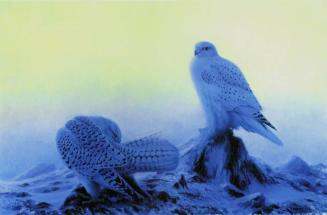 The First Dawn