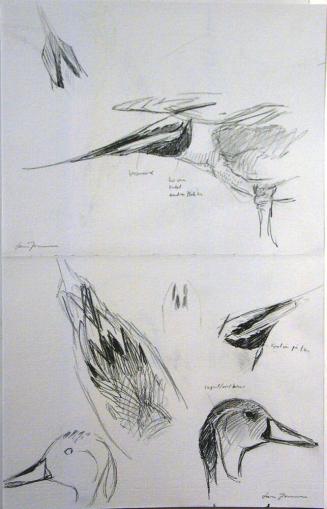 Sketches for the painting Rest After a Long Flight