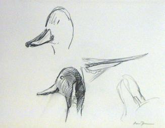 Sketches for the painting Rest After a Long Flight