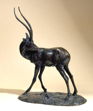 Picks (Grant's Gazelle)