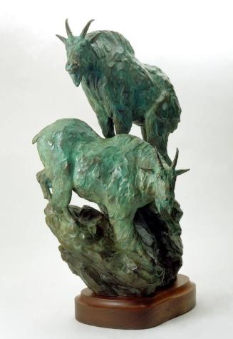 Two Mountain Goats
