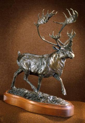 Caribou
