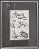 Untitled - Rabbits & Monkeys
