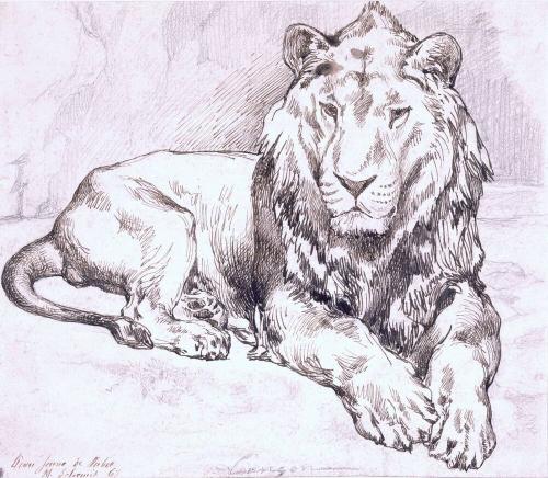 A Lion at Rest