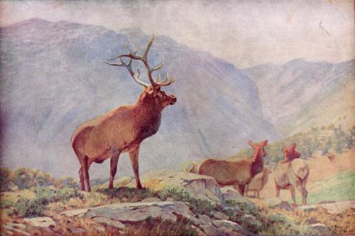 J. Walker McSpadden and H. E. Anthony, eds. Animals of the World. 