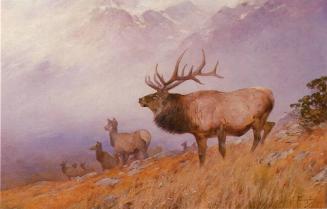 Hopkins Family Archival Collection, National Museum of Wildlife Art
