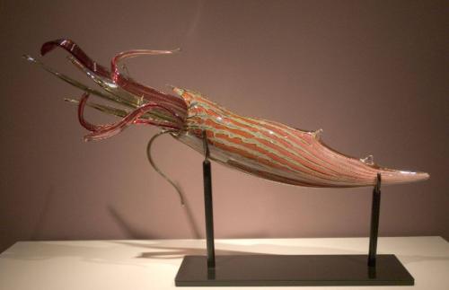 Squid