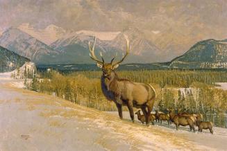 On the Banks of Vermillion Lakes