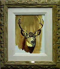 Mule Deer