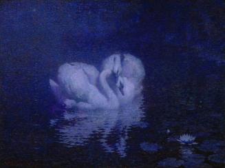 Swans