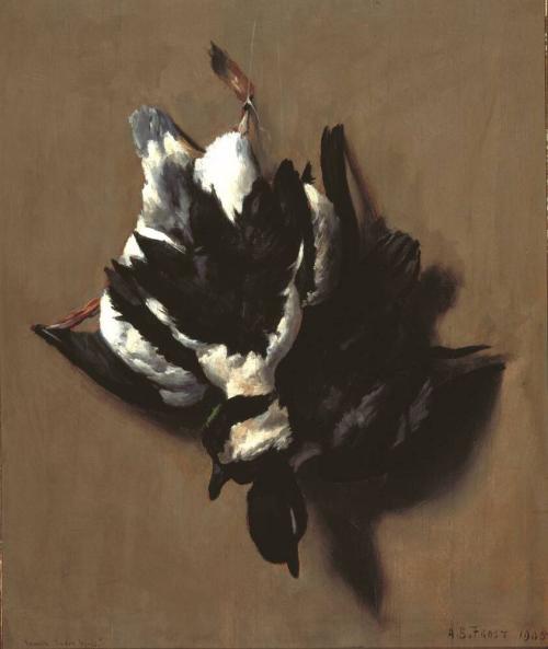 Hanging Buffleheads