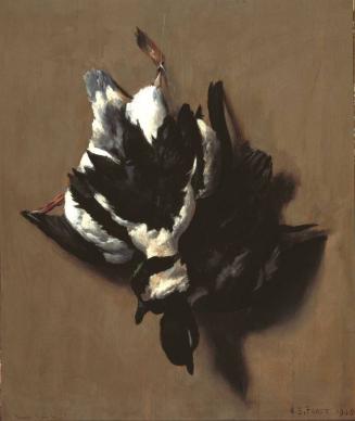 Hanging Buffleheads