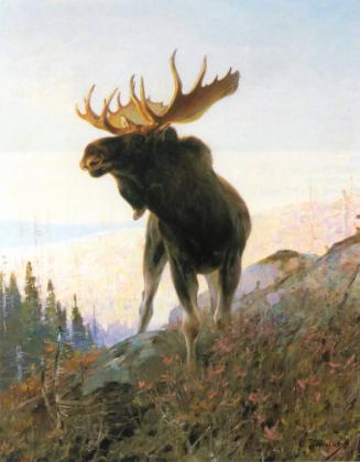Hopkins Family Archival Collection, National Museum of Wildlife Art