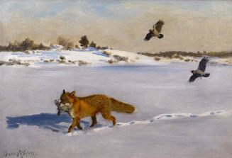 Fox in Snow with Prey