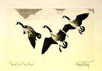 Federal Duck Stamp Design, 1936